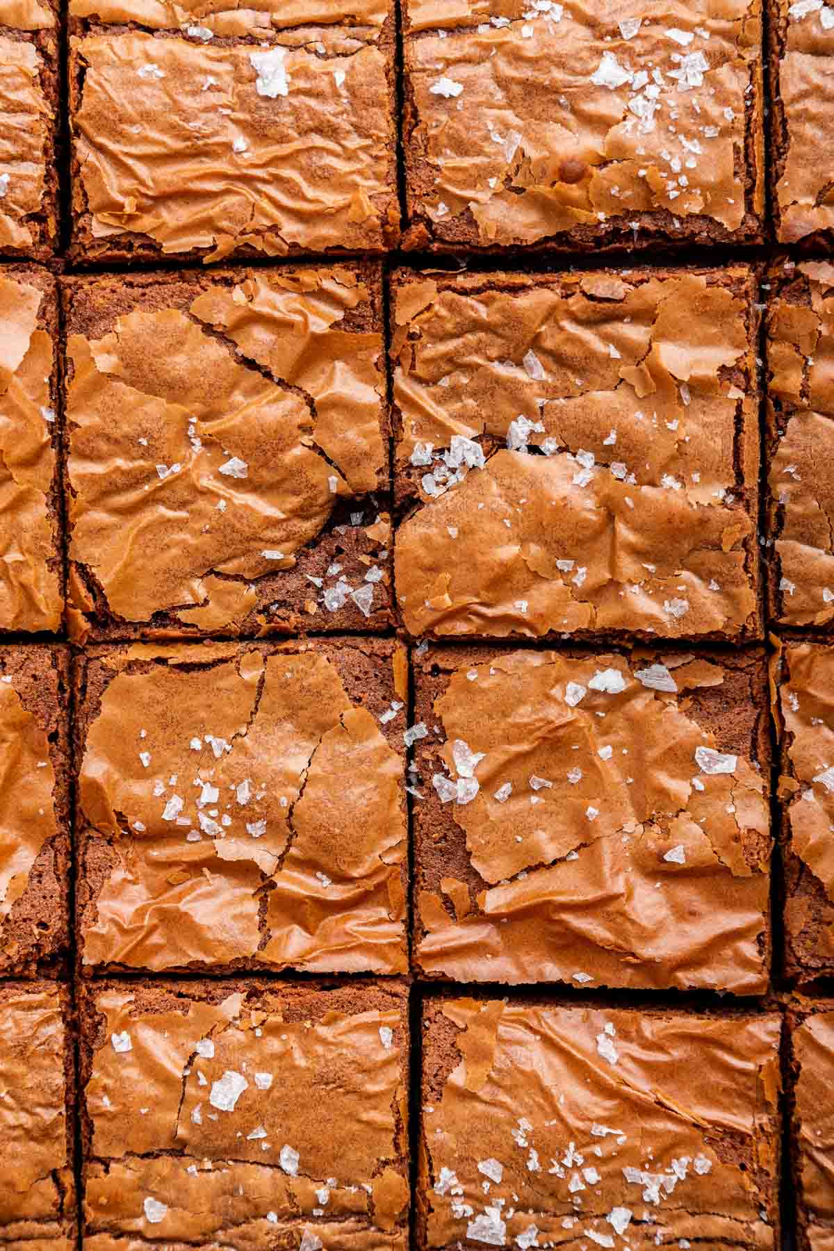 Up close macro shot of 3 ingredient brownies cut into squares.