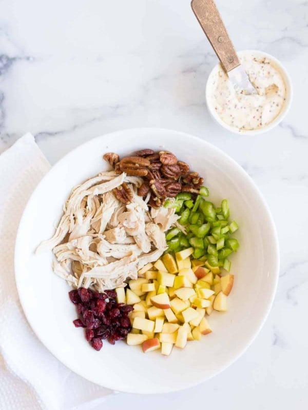 bowl with cranberries chicken celery and pecans